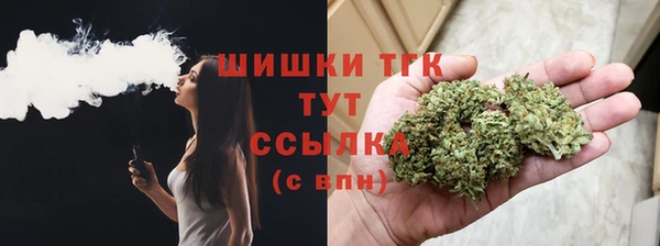 гашик Лабытнанги