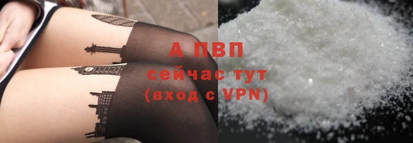 гашик Лабытнанги
