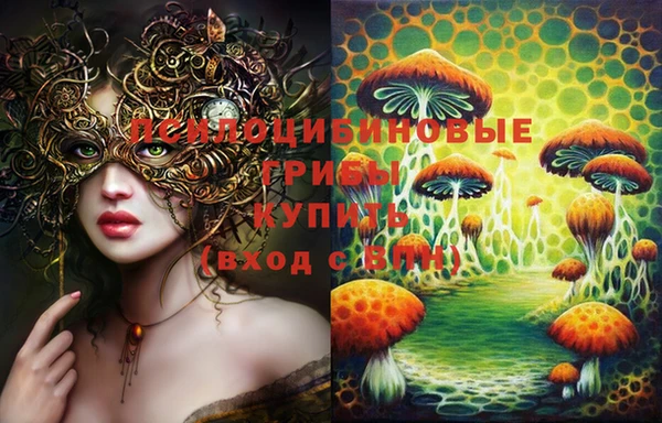 гашик Лабытнанги