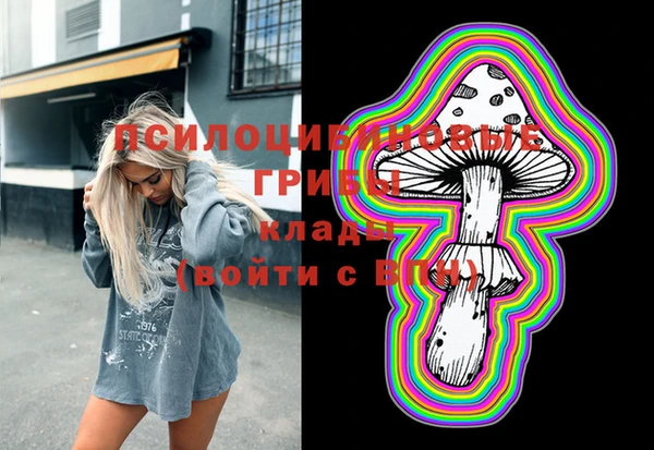 2c-b Ладушкин